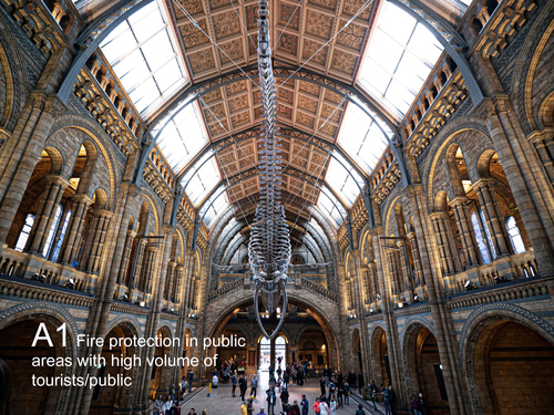 national history museum with a1 wording  (medium-large)